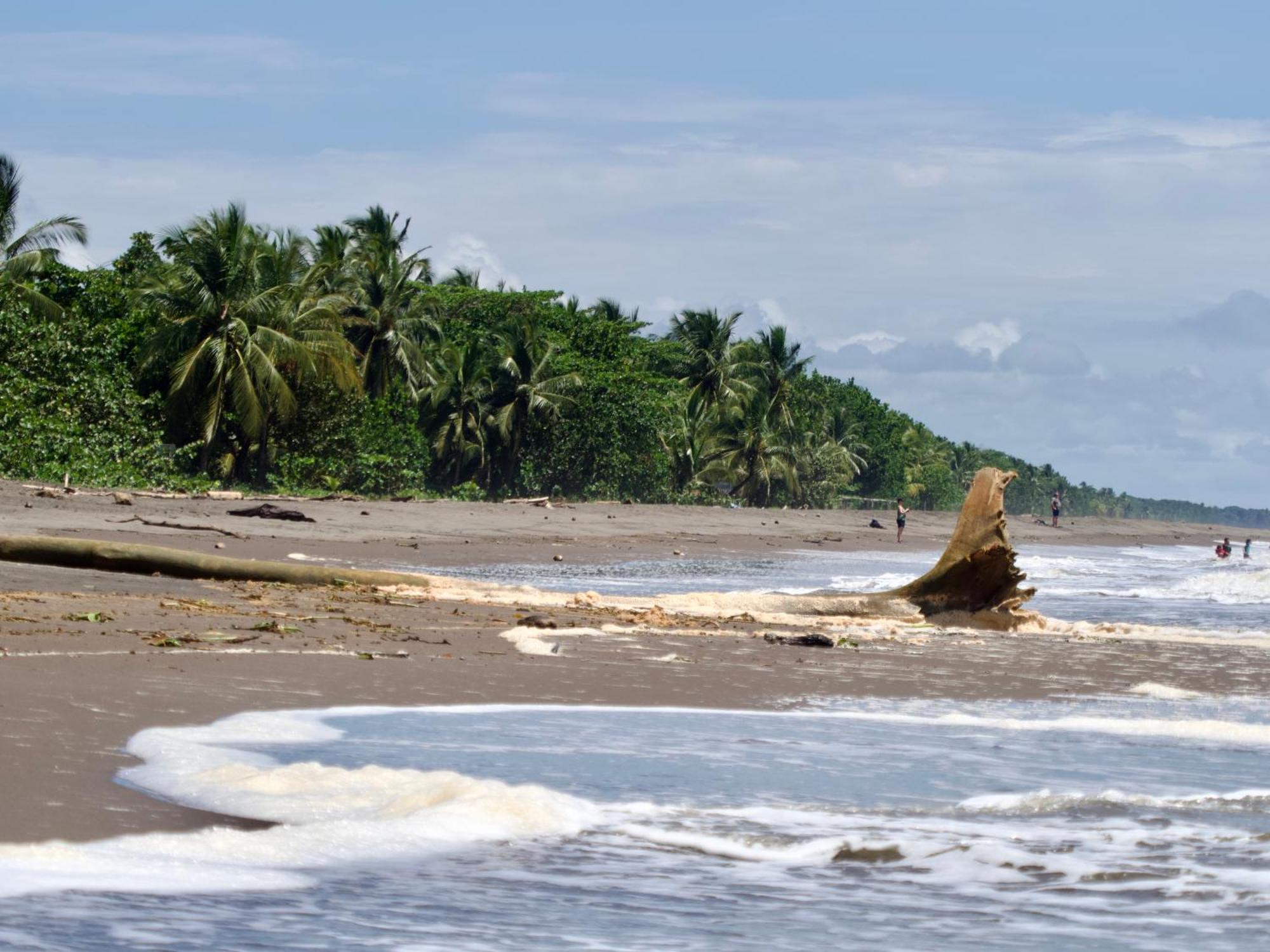 El Deseo Serendipity 4* Tortuguero
