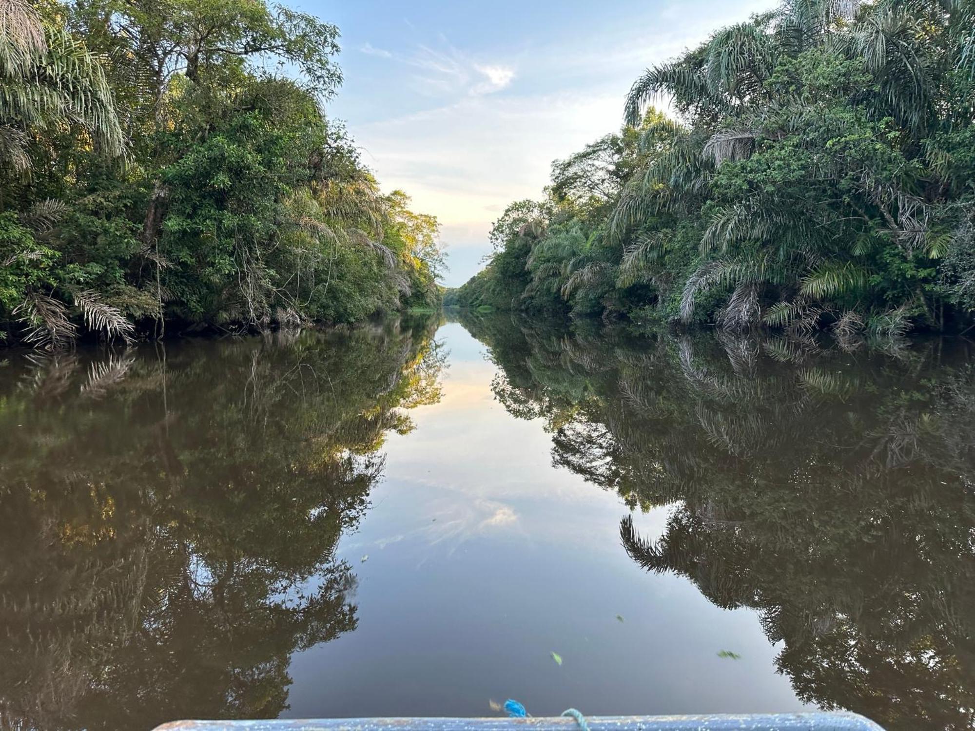 El Deseo Serendipity Tortuguero
