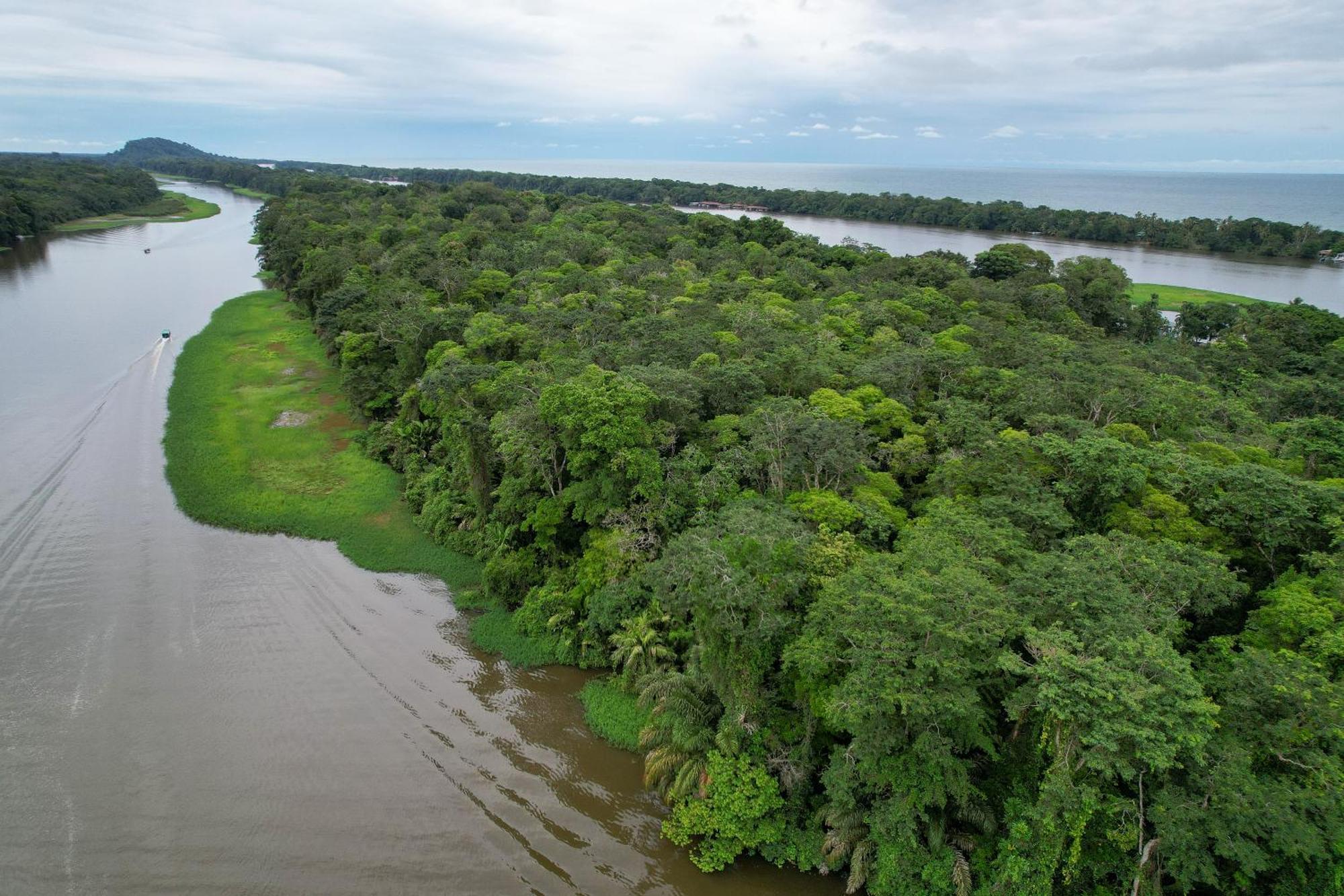 El Deseo Serendipity Hotel Tortuguero
